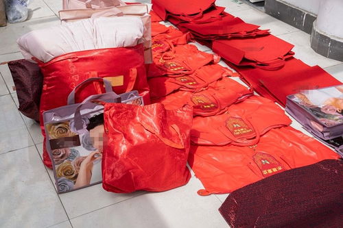 低至四折的明星產(chǎn)品藏貓膩 水星家紡大豆被遭仿冒，上海警方搗毀偽劣羽絨制品窩點